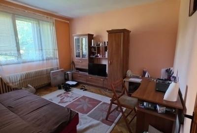 Tudor Vladimirescu-Bucsinescu- 2 Camere  Decomandat 50mp - 1