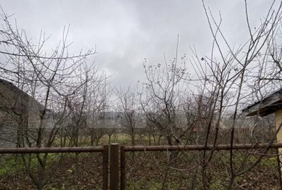 Casa cu anexe ?i 40 ari de gradina Casa cu anexe ?i 40 ari de gradina - 13