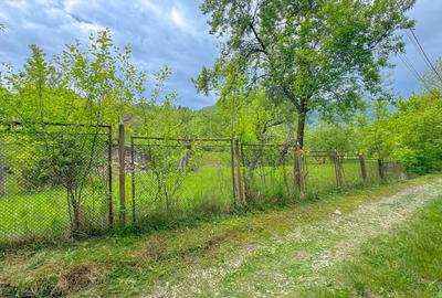 Teren 1500mp, intravilan cu utilitati, in proximitatea complexului Vila Bran - 12