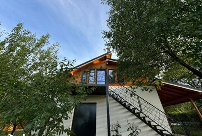 Casă cu 3 camere cu Teren 9500 Mp în Valea Călugărească - 7