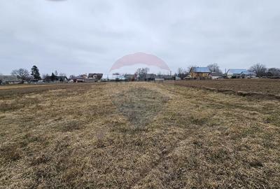 Casă / Vilă cu 12 camere, teren intravilan de 2869mp în Siminicea, SV - 34