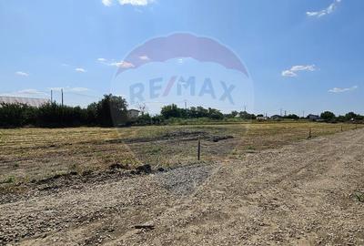 Teren de 490 mp, în Frumușani - 5