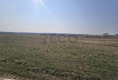 Spațiu comercial, în Central - 4