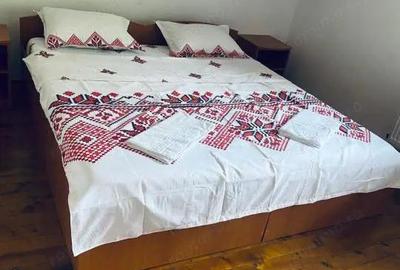 Casă cu 5 camere cu Teren 650 Mp în Râu Sadului - 2
