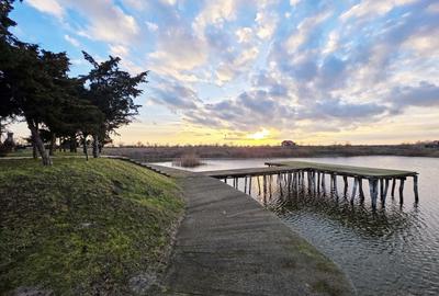 Casă individuală cu 40 camere cu Teren 347644 Mp în Istria - 15