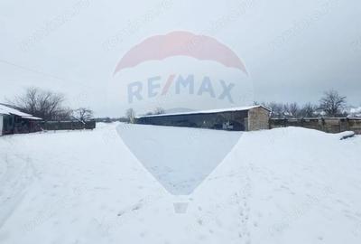 Casă cu 5 camere cu Teren 7531 Mp în Sacu - 10