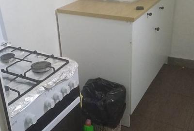 Casă cu 2 camere cu Teren 100 Mp în Petricani - 4