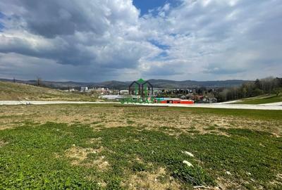 Teren intravilan - Calea Lui Traian - Zona Cetatuia - 16