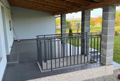 Casă cu 3 camere cu Teren 1006 Mp în Teiu - 8