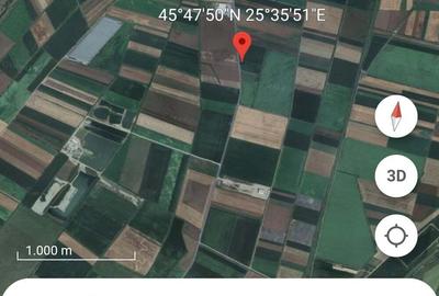Teren de 5000 mp, în Feldioara - 1