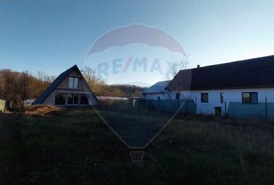 Casa unifamiliala Snagov - 2