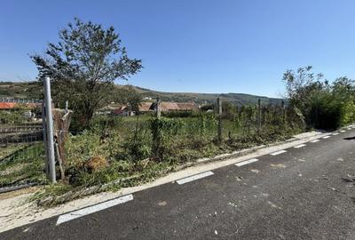 Teren intravilan de vanzare | 1352 mp | Comuna Pauca - 5