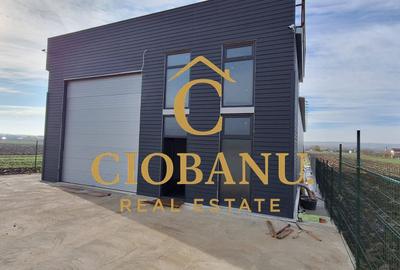 Hala de vanzare in Racari de Jos - 20