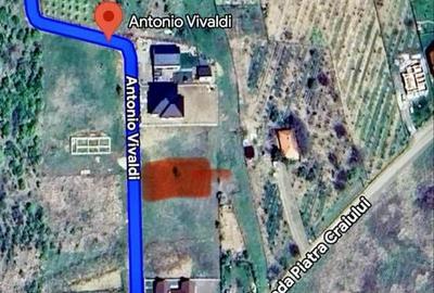 Spațiu comercial, în Săldăbagiu de Munte - 6