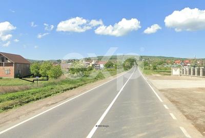Teren Construcții intravilan de 4514 mp, în Luizi-Călugăra - 3