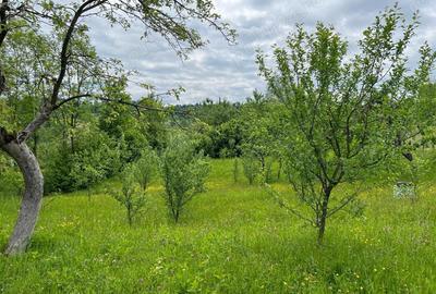 Teren de 4200 mp, în Ocina de Sus - 18