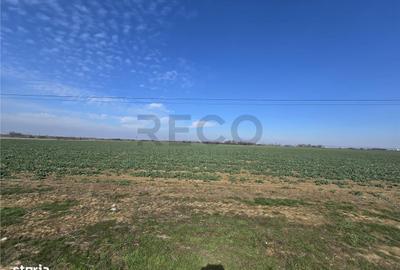 Teren de 5754 mp, în Nojorid - 5