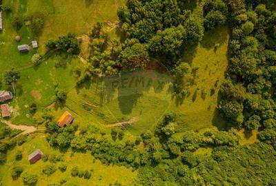 COMISION 0% Teren 11,381 mp Moieciu de Jos / Oportunitate... - 3