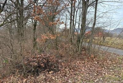 Teren în Șișești - 2