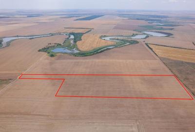 FRUMUSANI - PASAREA, TEREN 14420 MP, FRONT 40 M! - 6