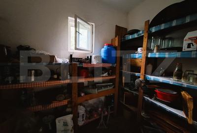 Casa renovabila, teren 4400 mp, Tureni - 8