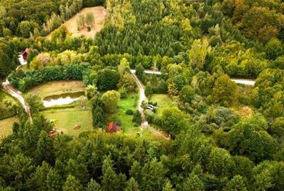 Refugiu montan,cu 2100 mp domeniu verde,arie ultra-liniara, potential extins, Vl - 5