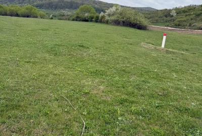 Teren de 5000 mp, în Fughiu - 7