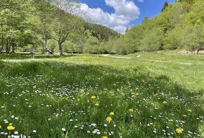 Teren de 7591 mp, în Poiana Mărului - 3