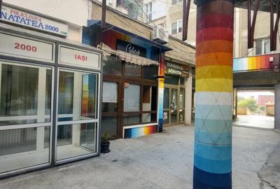 Spatiu comercial, 30 mp, str. Lapusneanu. - 2