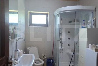 Casa de vacanca cu potential turistic, 1603 mp teren, Cernatesti - 9