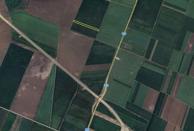 Teren Construcții intravilan de 17000 mp, în Ștefăneștii de Jos - 1