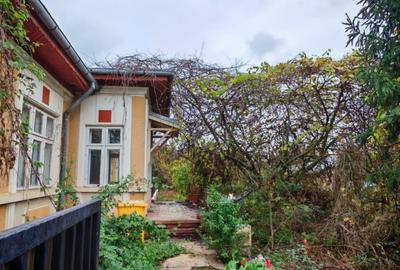 Casa locuibila cu 3 camere, 1700 mp teren deschidere 30 m, DOMNESTI - 6