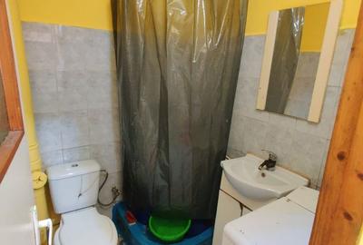 Garsonieră în Șagului - 3