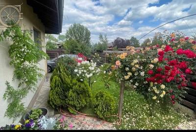 Casă individuală cu 5 camere cu Teren 600 Mp în Balotești - 2