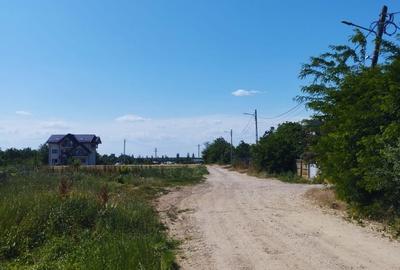 Teren intravilan de 6600 mp, în Crevedia - 9
