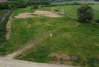 Teren de 14500 mp, în Săbișa - 1