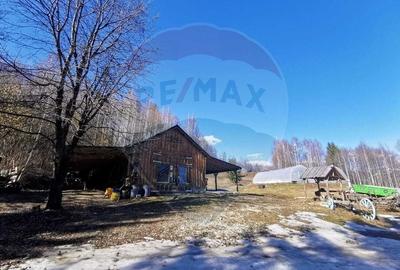 Casă cu 14 camere cu Teren 62000 Mp în Horea - 4