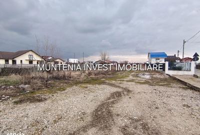 Spațiu comercial, în Bradu - 6