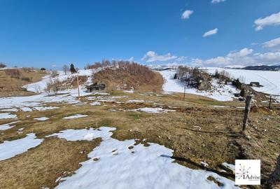 Teren De Vanzare In Sirnea - 34