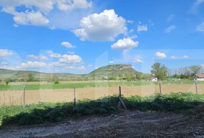 Ansamblu de 4 case in?iruite Aleea Parcului, Simeria - 2