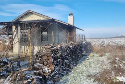 Teren de 50000 mp, în Ciorani - 2