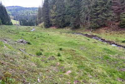 Spațiu comercial, în Arieșeni - 7