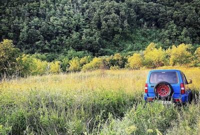 Casă cu 4 camere cu Teren 16418 Mp în Ilia - 5
