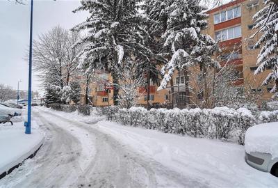 Apartament cu 2 camere circular în Gării - 1