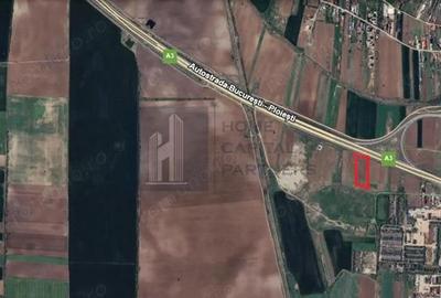 Teren 2727mp | Moara Vlasiei, Caciulati | A3 - 3