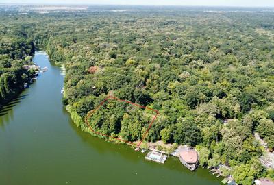 Teren 4800mp in Padurea Snagov, cu deschidere larga la Lacul Snagov - 2