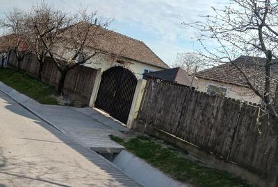 Casă cu Teren 462 Mp în Cetate - 5