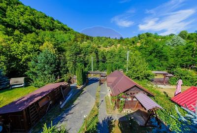 Casă cu 4 camere cu Teren 982 Mp în Coaș - 34