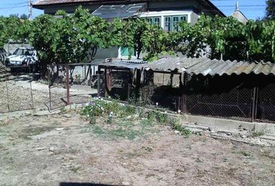 Casă cu 5 camere cu Teren 3000 Mp în Orevița Mare - 2