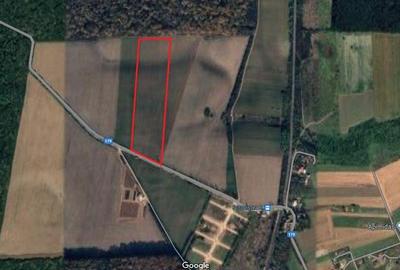 Spațiu comercial, în Bălteni - 4